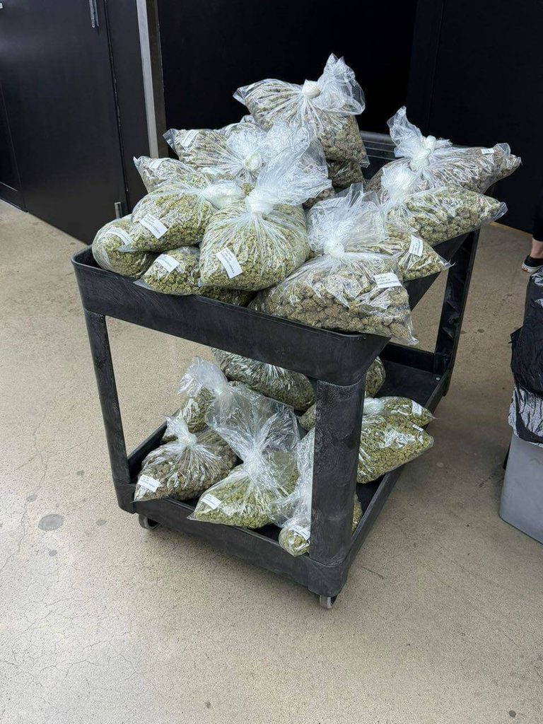 get weed in London online